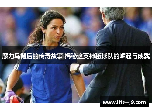 魔力鸟背后的传奇故事 揭秘这支神秘球队的崛起与成就