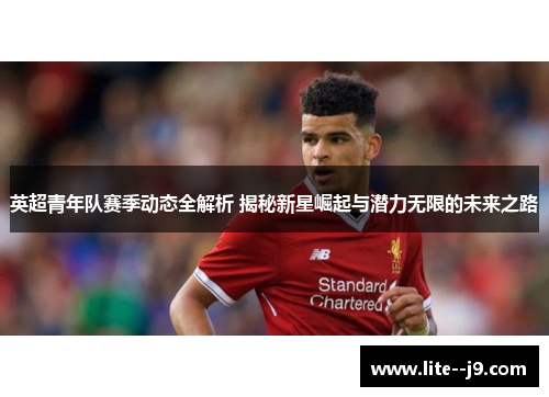英超青年队赛季动态全解析 揭秘新星崛起与潜力无限的未来之路 英超青年队赛季动态全解析 揭秘新星崛起与潜力无限的未来之路