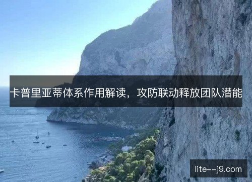 卡普里亚蒂体系作用解读，攻防联动释放团队潜能